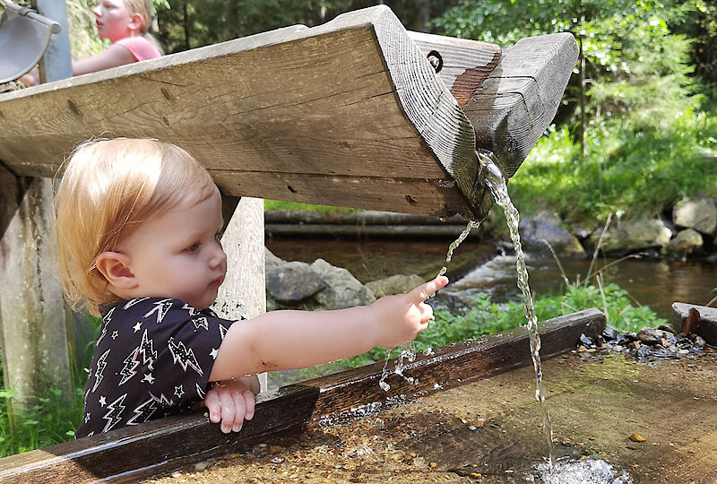 Bayerischer Wald Urlaub mit Kindern